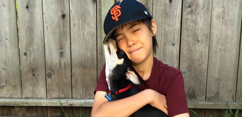 Free* Microchip & Low-Cost Rabies Vaccination Clinic @ACC