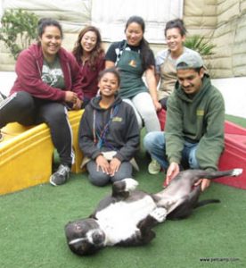 Bruno with Pet Camp staff