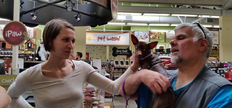 Introducing dogs to the public at PFE outreach