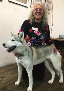 Husky dog with volunteer