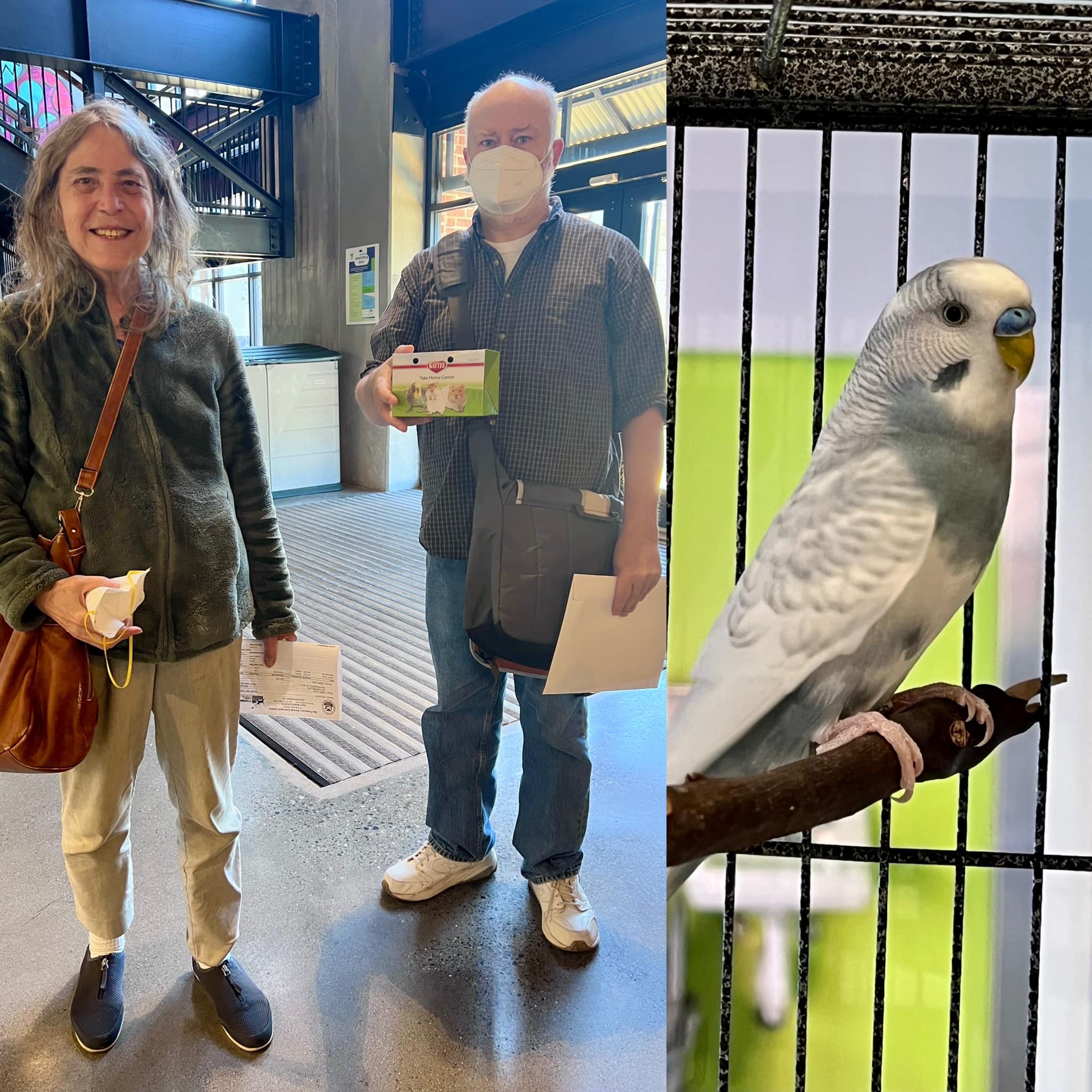 Happy Adoption Tales Friends of SFACC