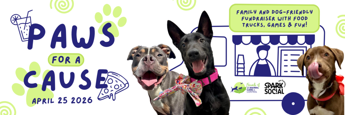 Paws for a Cause 2026 Paws for a Cause 2026