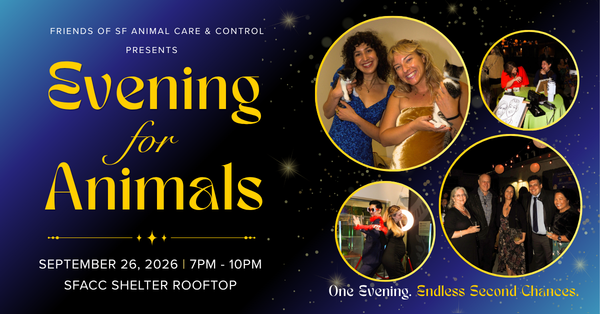 Evening for Animals 2026