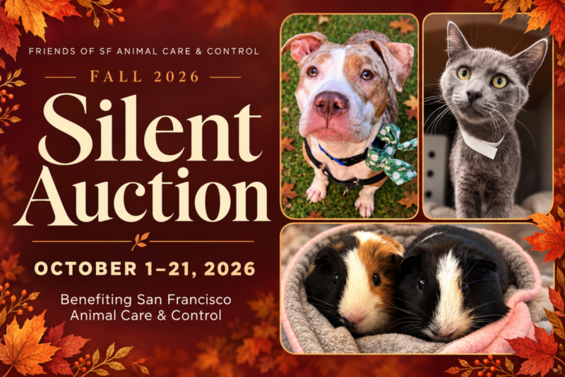 Friends of SF Animal Care & Control Fall 2026 Silent Auction